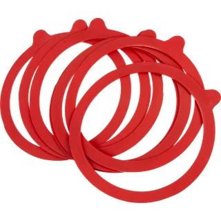 GARNITURI PENTRU BORCANE WECK FI110MM - 20BUC.