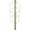 Suport inelar pentru plante 3 inele 0,5m ['suport pentru plante', ' suport inelar pentru arbuști', ' suport de grădină', ' suport pentru trandafiri', ' pergolă de grădină', ' clemă pentru plante', ' suport pentru plante', ' suport floral', ' suport pentru plante de ghiveci', ' suport pentru hortensii', ' suport pentru afine', ' suport pentru plante cățărătoare', ' suport verde', ' suport pentru plante verde închis', ' suport pentru plante din oțel cu inele']