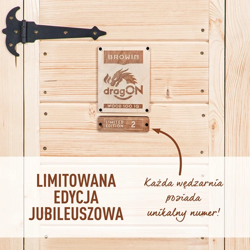 Afumătoare cu Wi-Fi, 200 L – dragON WOOD 100IQ cu modul electric de încălzire și controler - 4