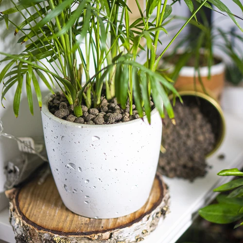 Argilă expandată pentru plante de ghiveci, grădinărit și păduri în sticlă, 4-10 mm, 2L - 9