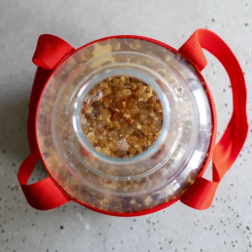 Balon pentru vin ușor, incasabil, cu curele, 10 L - 18