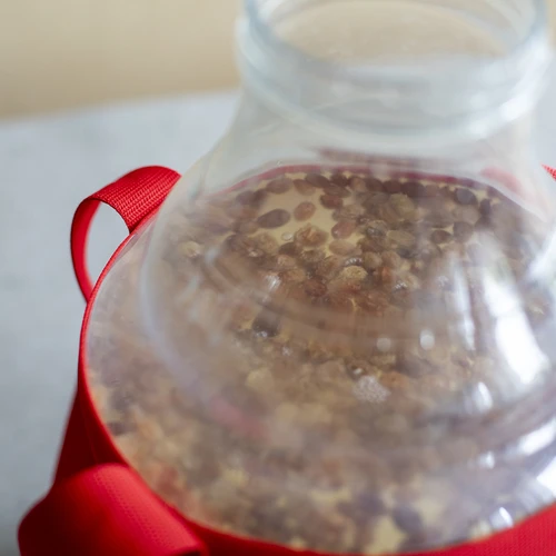 Balon pentru vin ușor, incasabil, cu curele, 10 L - 17