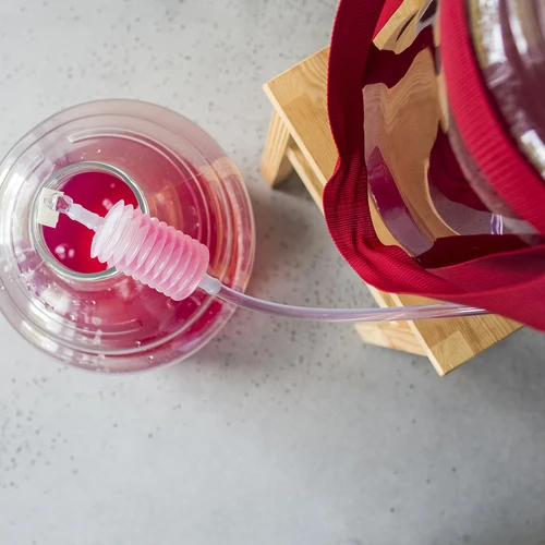 Balon pentru vin ușor, incasabil, cu curele, 25 L - 18