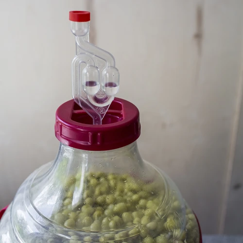 Balon pentru vin ușor, rezistent la spargere, cu curele, 20 L - 14