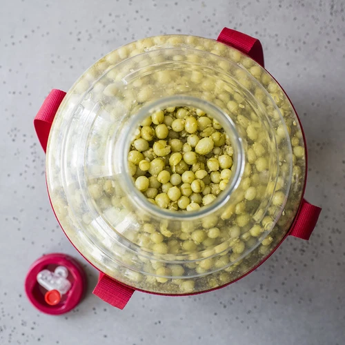 Balon pentru vin ușor, rezistent la spargere, cu curele, 20 L - 15