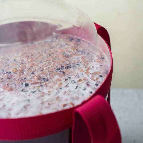 Balon pentru vin ușor, rezistent la spargere, cu curele, 20 L - 17