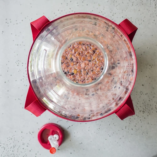 Balon pentru vin ușor, rezistent la spargere, cu curele, 20 L - 18