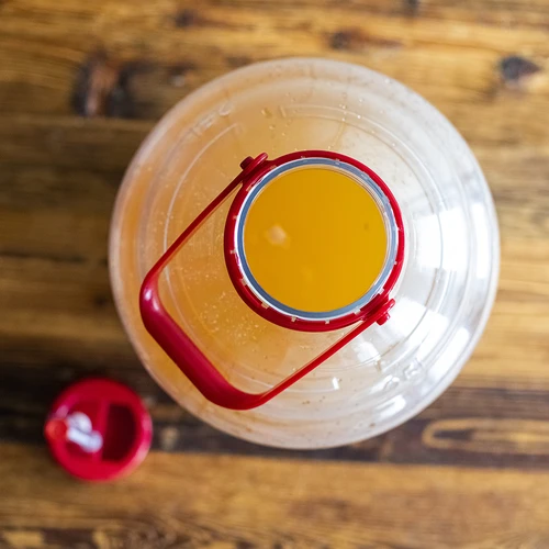 Balon pentru vin ușor, rezistent la spargere, cu mâner, 25 L - 15