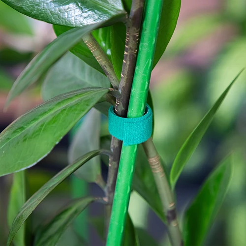 Bandă de grădină cu arici, verde, 15 mm x 5 m - 4