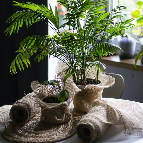 Bandă de iută 10 cm/5 m - 9