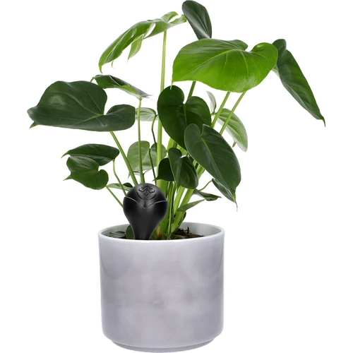 Bilă de irigare pentru plante, neagră mată cu picior ceramic, 400ml - 7