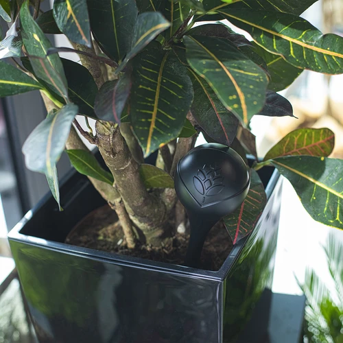 Bilă de irigare pentru plante, negru mat cu picior ceramic (în ambalaj) 400 ml - 11