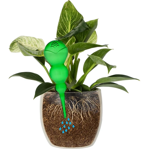 Bilă de irigare triplă (cu trei compartimente), verde transparentă, 600 ml - 3