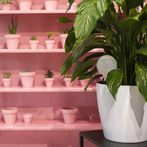 Bilă de udare pentru plante, alb mat cu picior ceramic, 400ml - 10