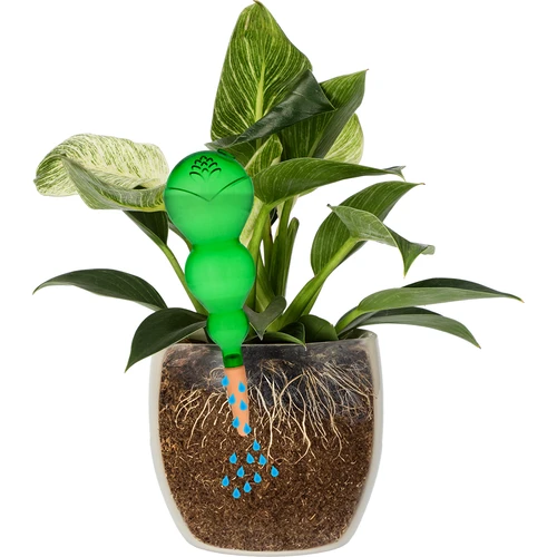 Bilă de udare triplă (cu trei compartimente), verde transparentă cu picior ceramic, 600ml - 3