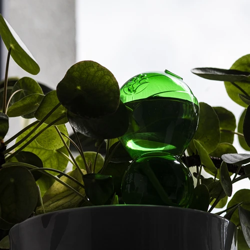 Bilă de udare triplă (cu trei compartimente), verde transparentă cu picior ceramic, 600ml - 7