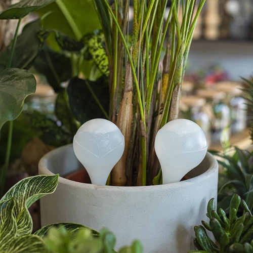 Bile de irigare pentru plante, albe semitransparente, 400 ml, 4 buc. - 8