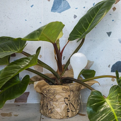 Bile de irigare pentru plante, albe semitransparente, 400 ml, 4 buc. - 9