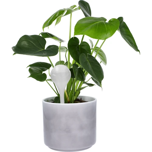 Bile de irigare pentru plante, albe semitransparente, 400 ml, 4 buc. - 6