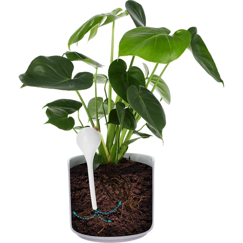 Bile de irigare pentru plante, albe semitransparente cu dop, 400ml, 4 buc. - 6