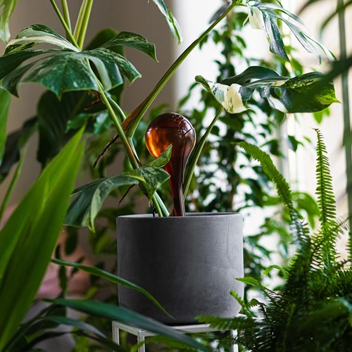 Bile de irigare pentru plante, chihlimbar transparente, 400 ml, 2 buc. - 10