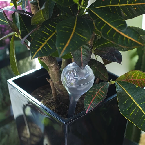 Bile de irigare pentru plante, transparente, 400 ml, 2 buc. - 10