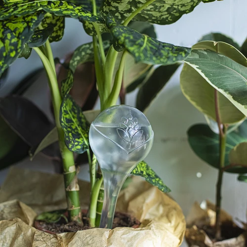 Bile de irigare pentru plante, transparente, 400 ml, 2 buc. - 11