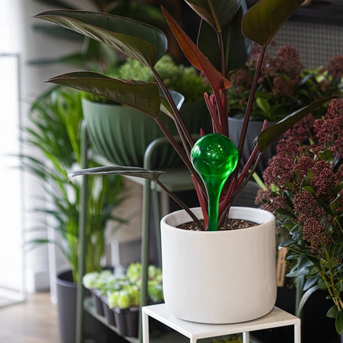 Bile de irigare pentru plante, verzi transparente, 400 ml, 2 buc. - 10