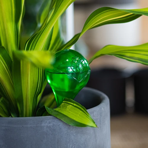 Bile de irigare pentru plante, verzi transparente, 400 ml, 2 buc. - 11