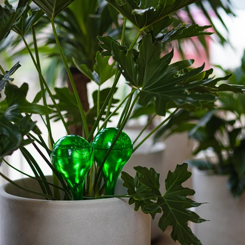 Bile de irigare pentru plante, verzi transparente, 400 ml, 2 buc. - 13