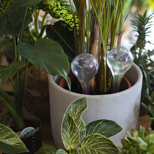 Bile de irigare, transparente, 400 ml, 4 buc. - 8