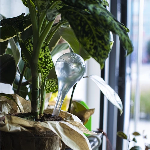 Bile de irigare, transparente, 400 ml, 4 buc. - 11