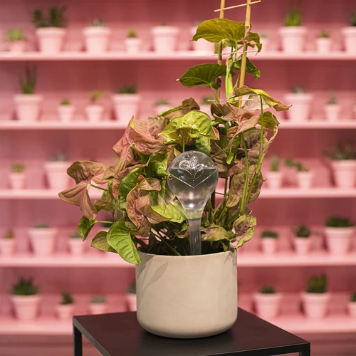 Bile de irigare, transparente, 400 ml, 4 buc. - 12