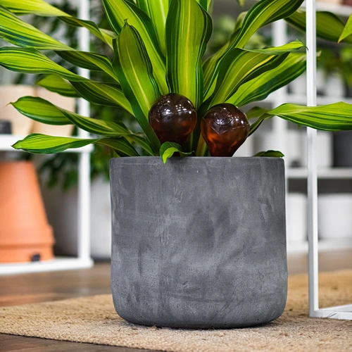 Bile de udare pentru plante, chihlimbar transparente, 400 ml, 4 buc. - 12