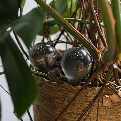 Bile de udare pentru plante, negre transparente, 400 ml, 4 buc. - 13