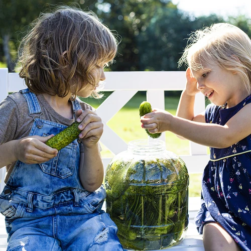 Borcan de murat rezistent la spargere, 3 L - 7