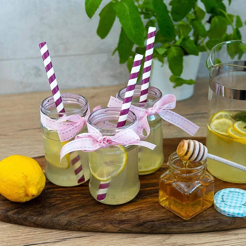 Borcan TO 300 ml fi 66 - pachet de 12 buc. - 8