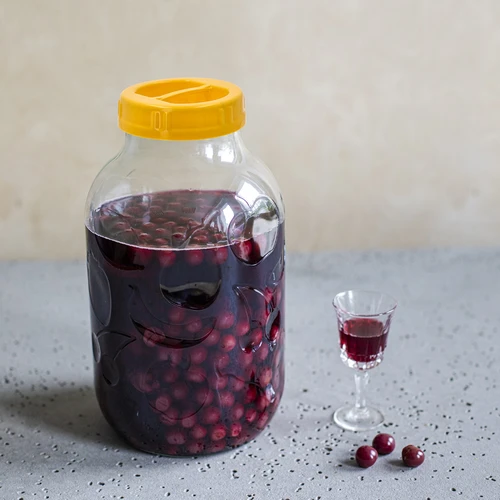 Borcan TO 5 L și capac din plastic fi 100, cu mâner - 5