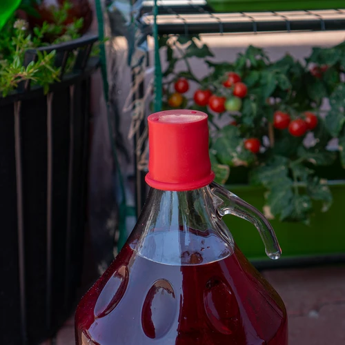 Capac-dop pentru baloane și damigene – ø 45 mm - 3