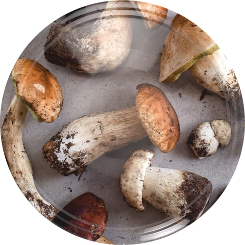 Capac fi 66 ciuperci 2 - 10buc.