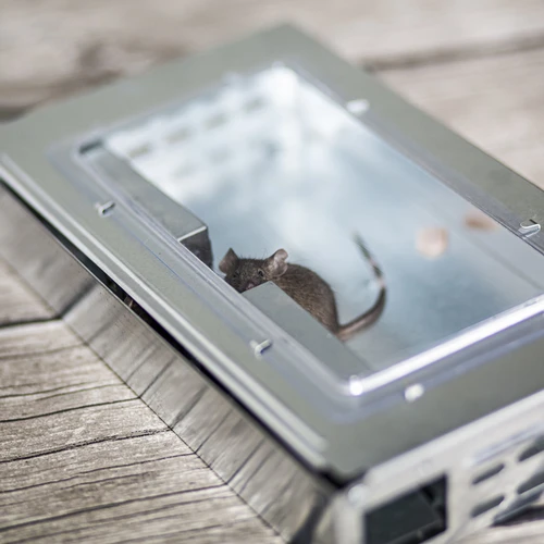 Capcană metalică pentru șoareci - umană - 8