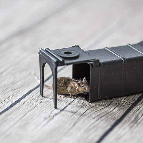 Capcană pentru șoareci - capcană vie - 8