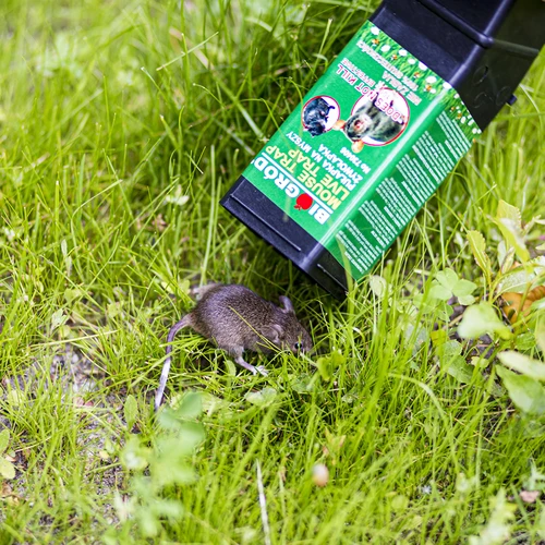 Capcană pentru șoareci - capcană vie - 10