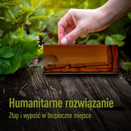 Capcană pentru șoareci – capcană vie, transparentă, 2 buc. - 7