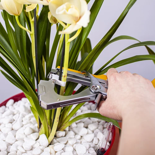 Capse pentru capsator de grădină - 10000 buc. - 5