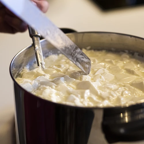 Cheag pentru brânzeturi 5x1 g - 7