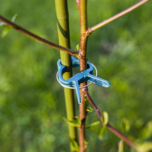 Clipsuri pentru prinderea plantelor 20 buc. (8x mari/12x mici) - 7