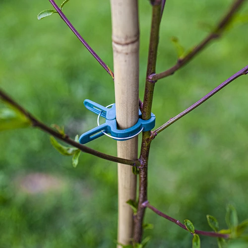 Clipsuri pentru prinderea plantelor 20 buc. (8x mari/12x mici) - 8