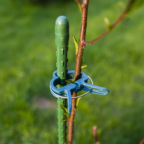 Clipsuri pentru prinderea plantelor 20 buc. (8x mari/12x mici) - 9