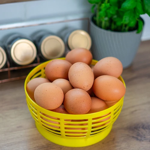 Coșuleț de plastic pentru Dam 5L, galben - 8